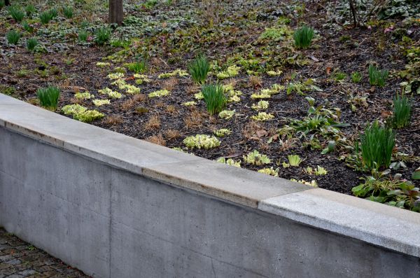 Concrete Wall Construction in Lewes