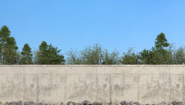 Privacy Wall Construction in Lewes