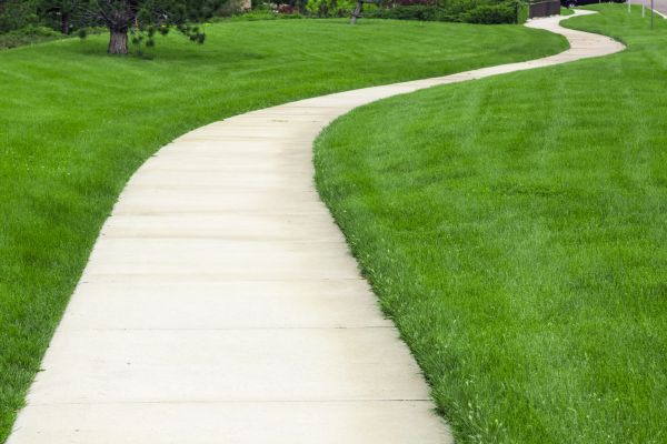 Pathway Replacement in Lewes