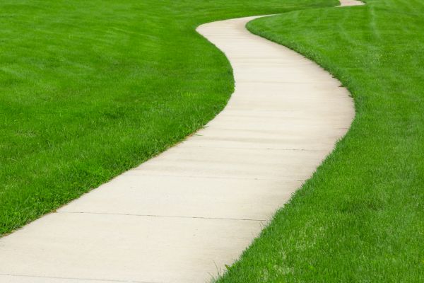 Cost of Walkway Building in Lewes
