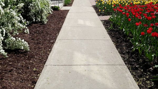 Cost of Sidewalk Slab Replacement in Lewes