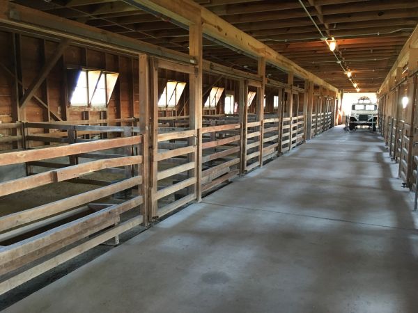 Barn Slab Construction in Lewes
