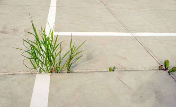 Concrete Parking Installation in Lewes